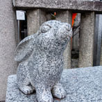 Kyoto 2019